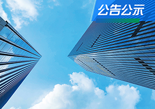 湖南宏旺新材料科技有限公司年产96万吨高牌号硅钢项目 环境影响报告书第一次公示