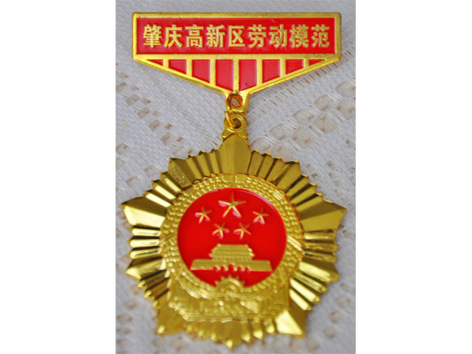 向劳模看齐 以劳模为标杆－肇庆宏旺戴泽辉荣获高新区劳模