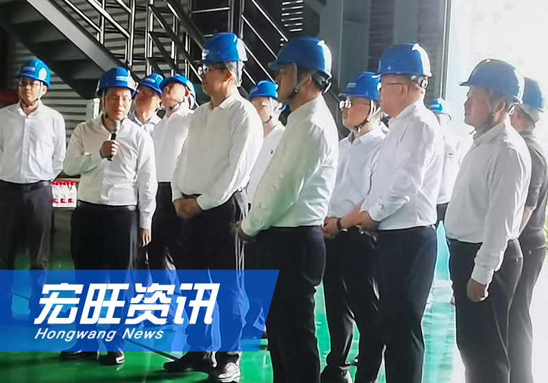 内蒙古自治区党委常委、通辽市委书记孟宪东一行莅临阳江宏旺调研