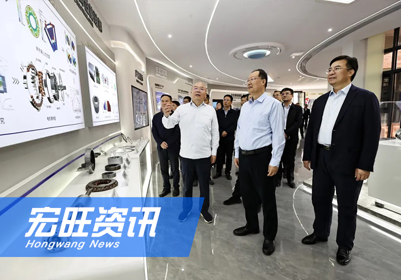 湖南省委副书记、省长毛伟明一行莅临湖南宏旺调研
