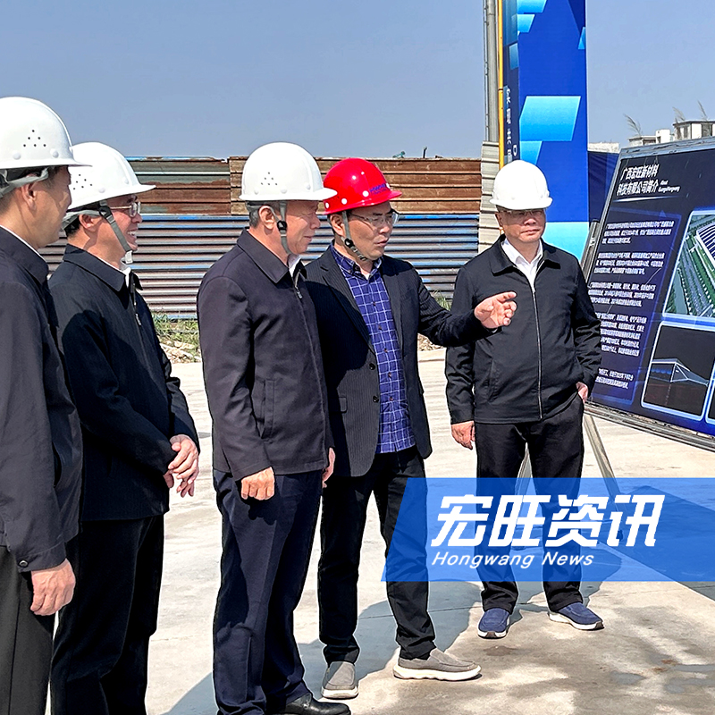广西壮族自治区政协副主席、党组副书记徐绍川一行莅临广西宏旺调研