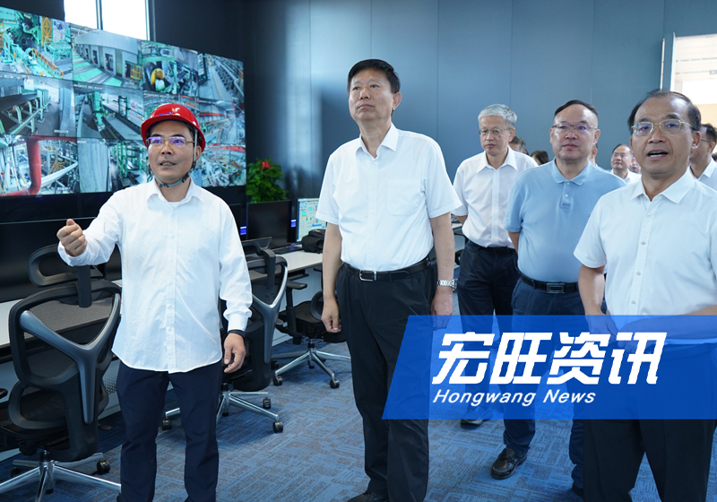 广西壮族自治区政协副主席费志荣一行莅临广西宏旺视察
